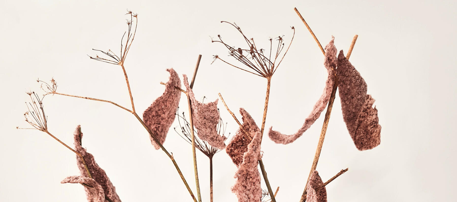 Les créations culinaires du chef Olivier Beurné